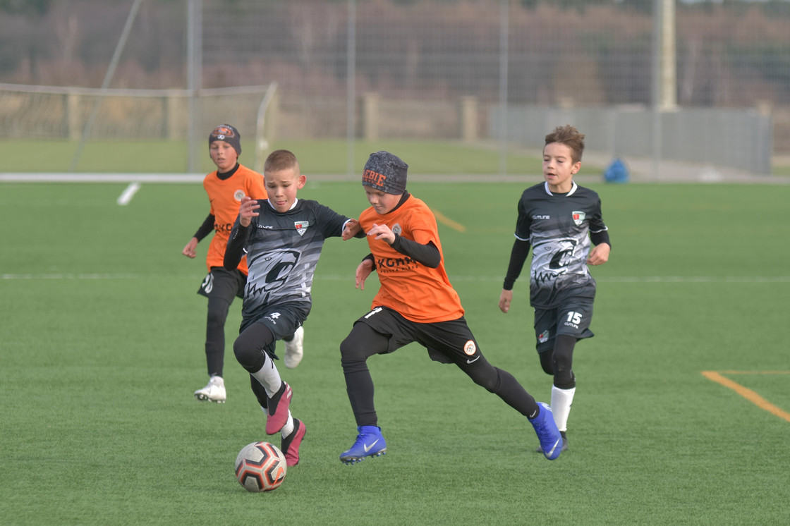 Zagrali z Jaguarem Gdańsk Zagrali z Jaguarem Gdańsk