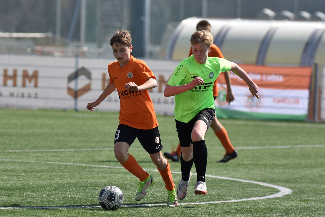 U14: Zagłębie - Polonia-Stal Świdnica | FOTO