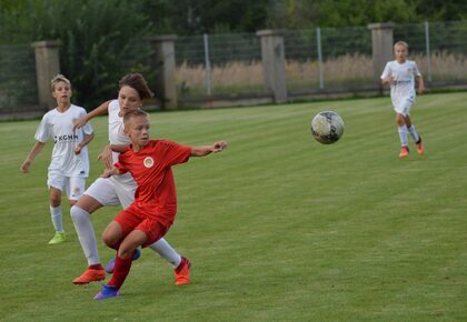 U13M: Zagłębie - Parasol Wrocław | FOTO