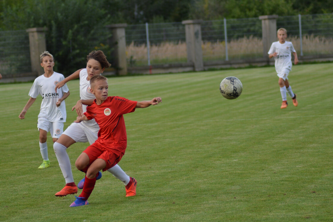 U13M: Zagłębie - Parasol Wrocław | FOTO