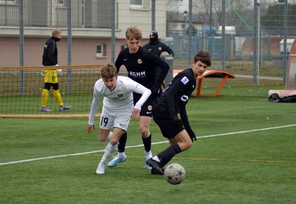 U19: Zagłębie - Śląsk Wrocław | Sparing